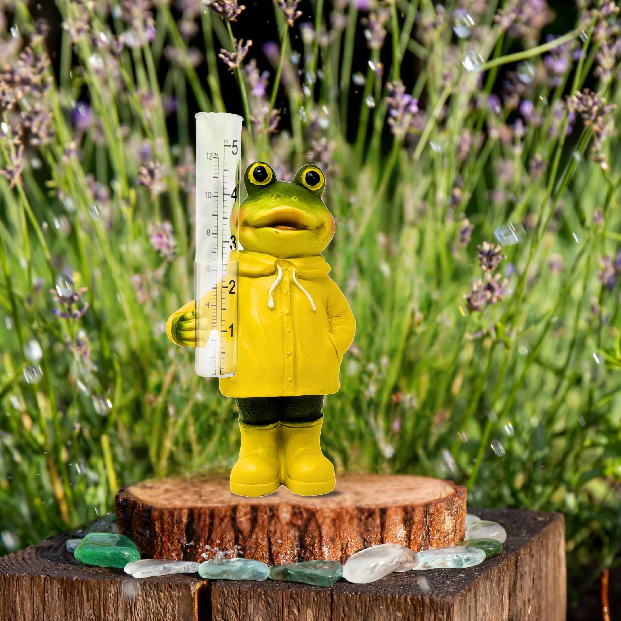 置物 Rainy Summer Amazon.com : Resin Frog Rain Gauge Outdoor Weather Measurement